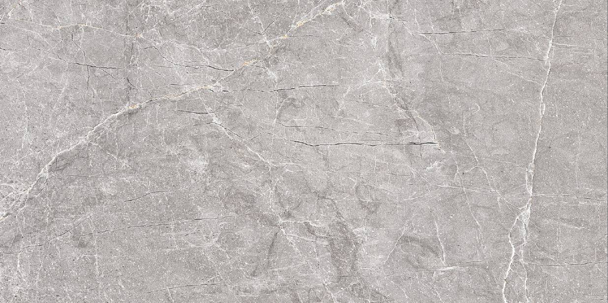 FERNA CINEREA/60х120/карвинг матовый керамический гранит