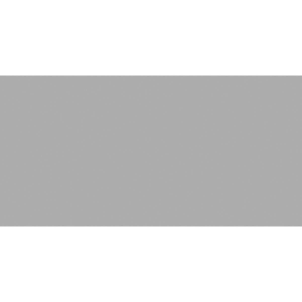 ELITE GREY /Керамогранит матовый моноколор /60*120