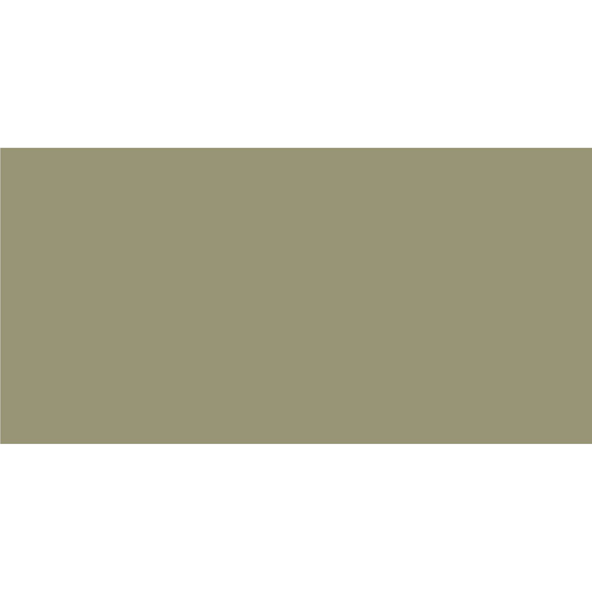  ELITE AVOCADO /Керамогранит матовый моноколор /60х120 